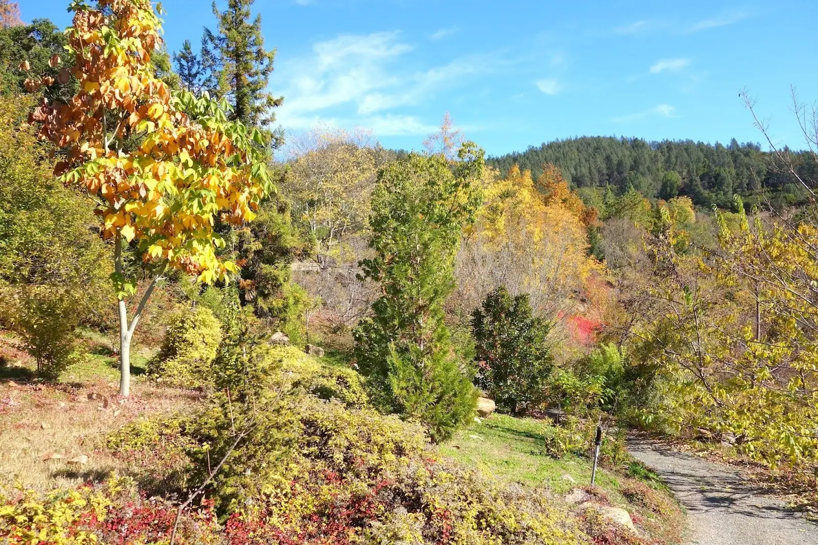 A Secret Haven Along the Calabazas Creek<br />
